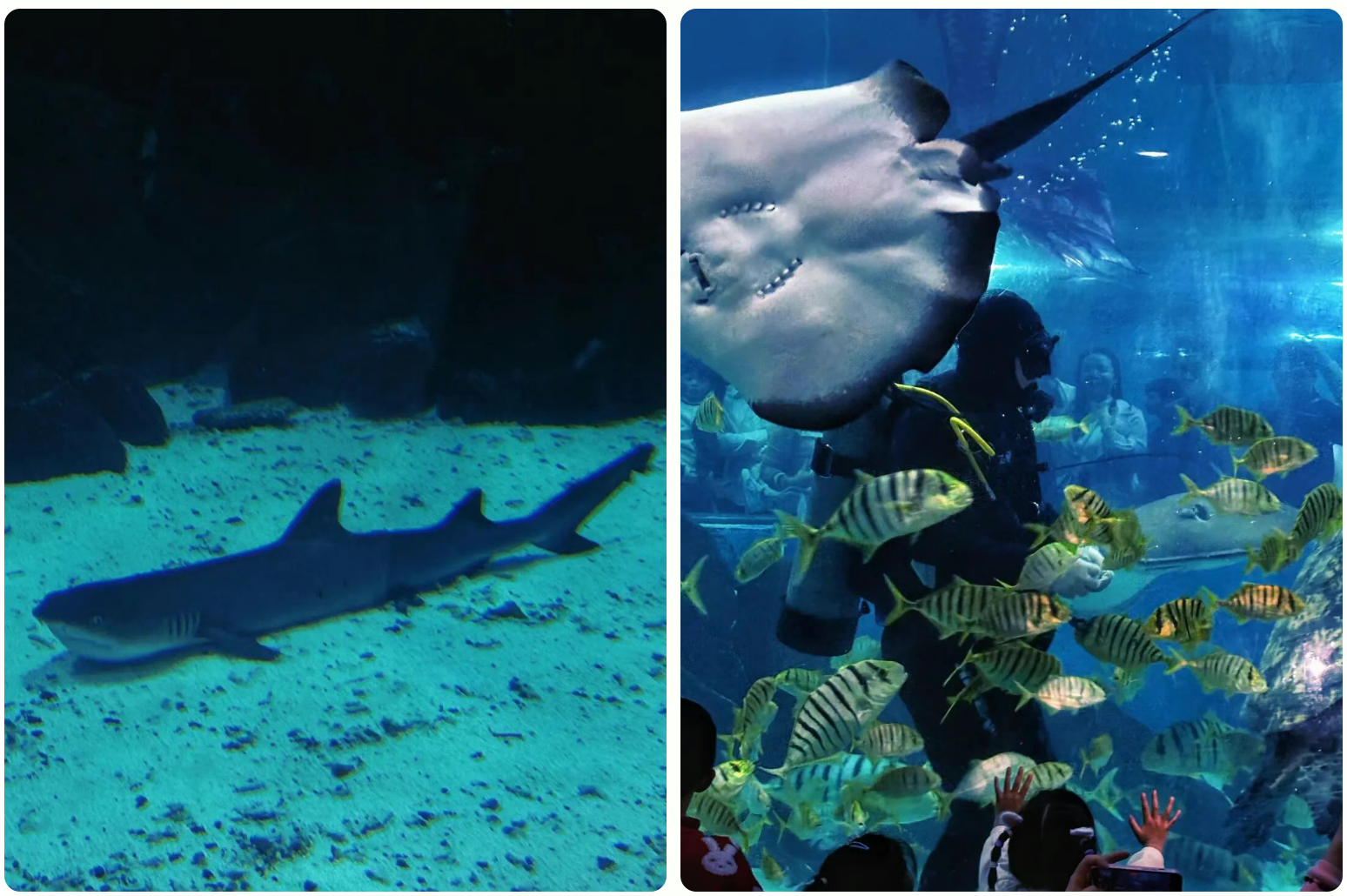 60ce99d2add5b3374a186c4dea3d1988