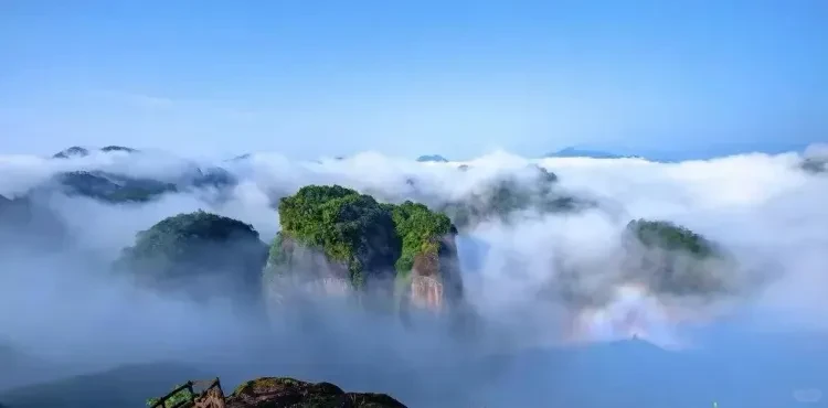 61830245f5c084ad5767832022c28550-sz_488714