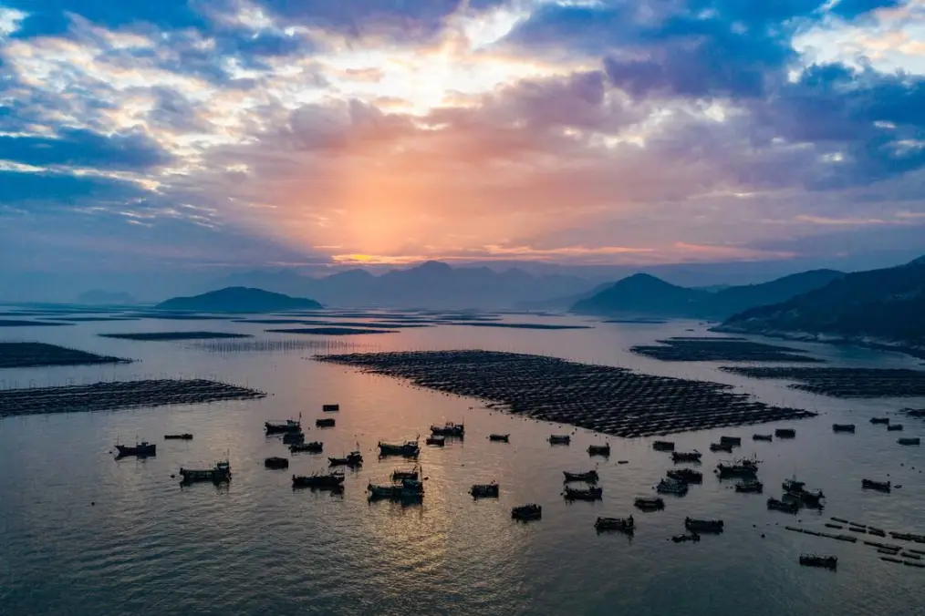 61995a5c8a6915322b4c9d03e6402dfb-sz_112699