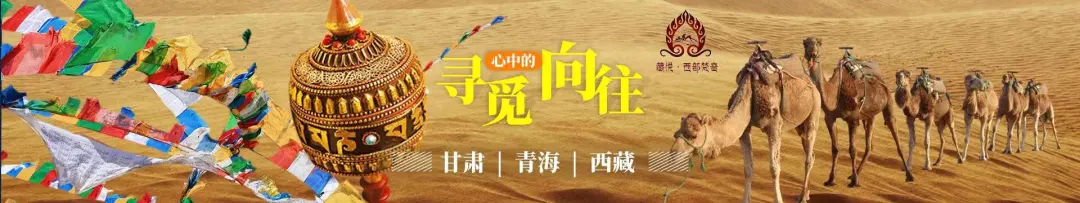 61cc646e8db192383c38e5462ad6546f-sz_156753