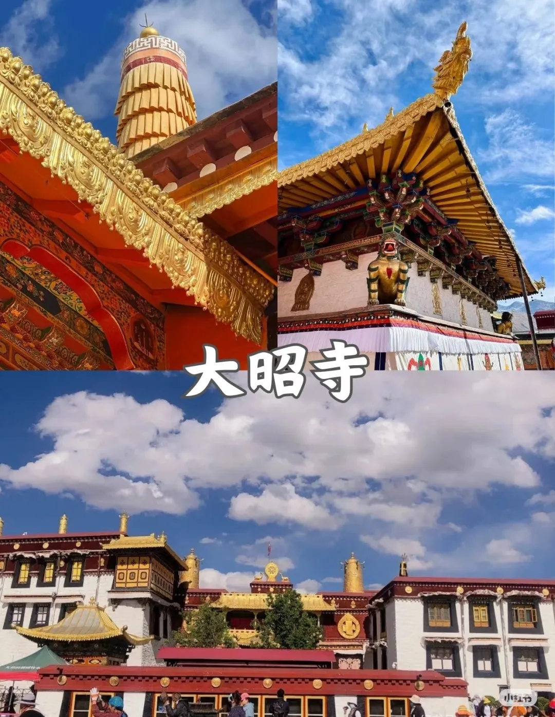 6214d3bcc94b4b950d66e9056ab00da7-sz_574847-1