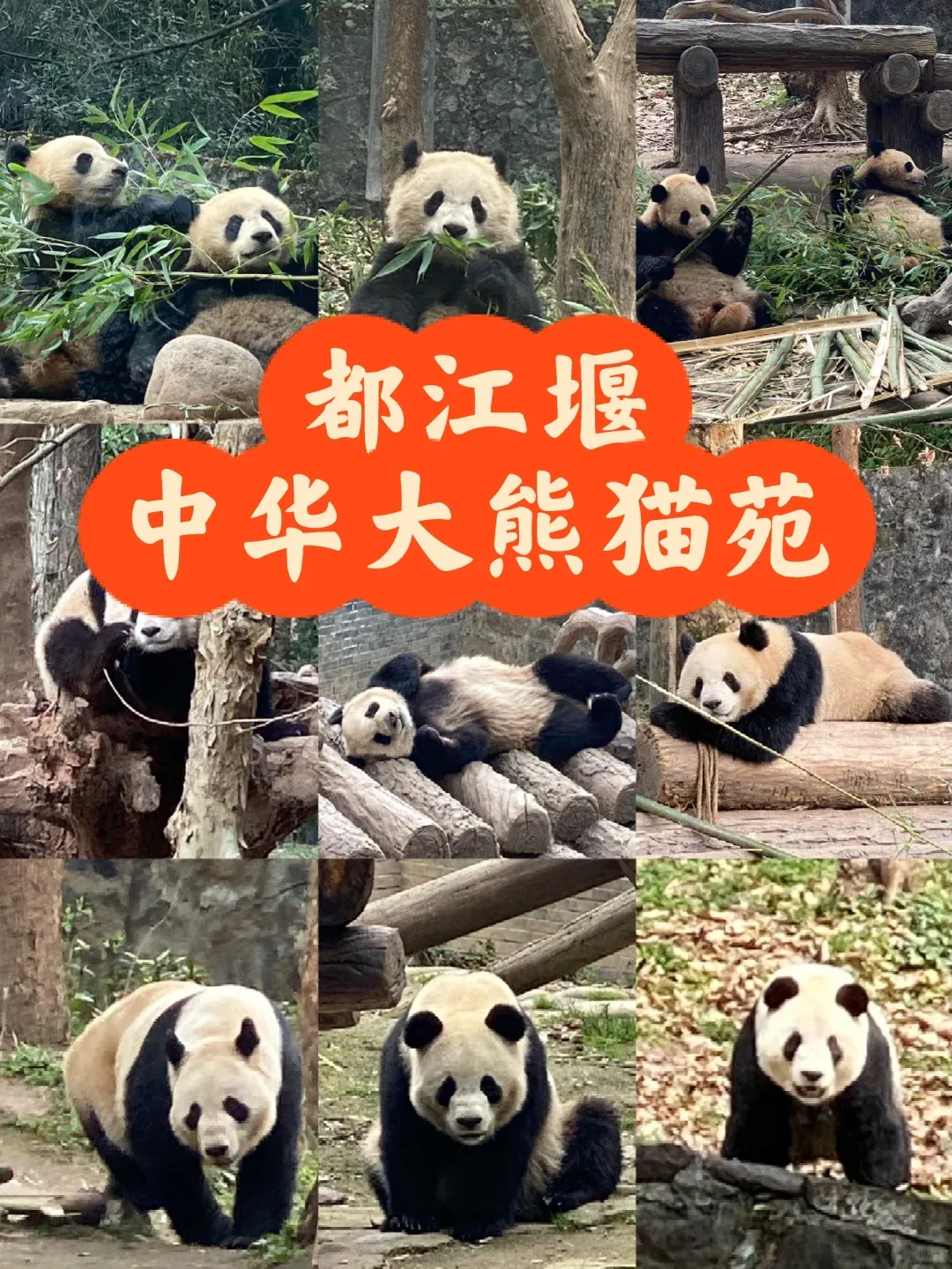 62875921fc4716c22b261fb0d01d0569-sz_2768036