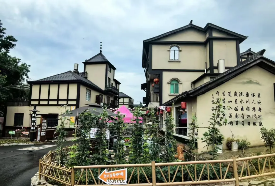 62c03f2cd924932e675694f16e8d694b-sz_1337856-1