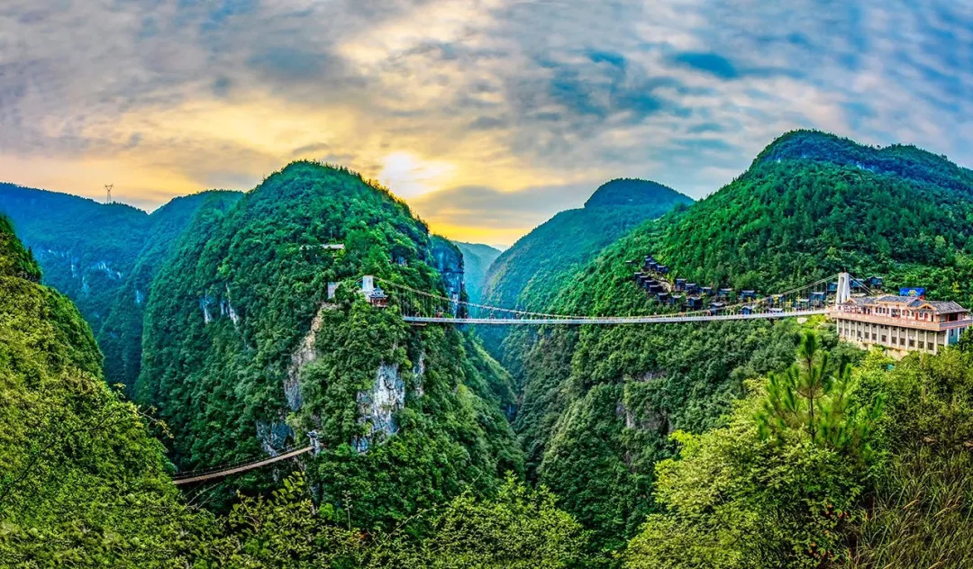 63208a7050d4ee35b8bad0fb84d2fe5d-sz_1966417-2