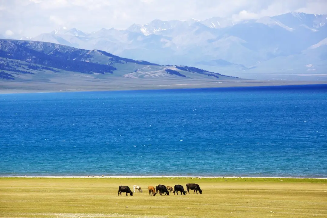 63312e331e8aeb7b938aac802ba7f571-sz_180821-1