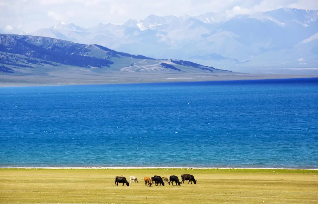 63312e331e8aeb7b938aac802ba7f571-sz_180821