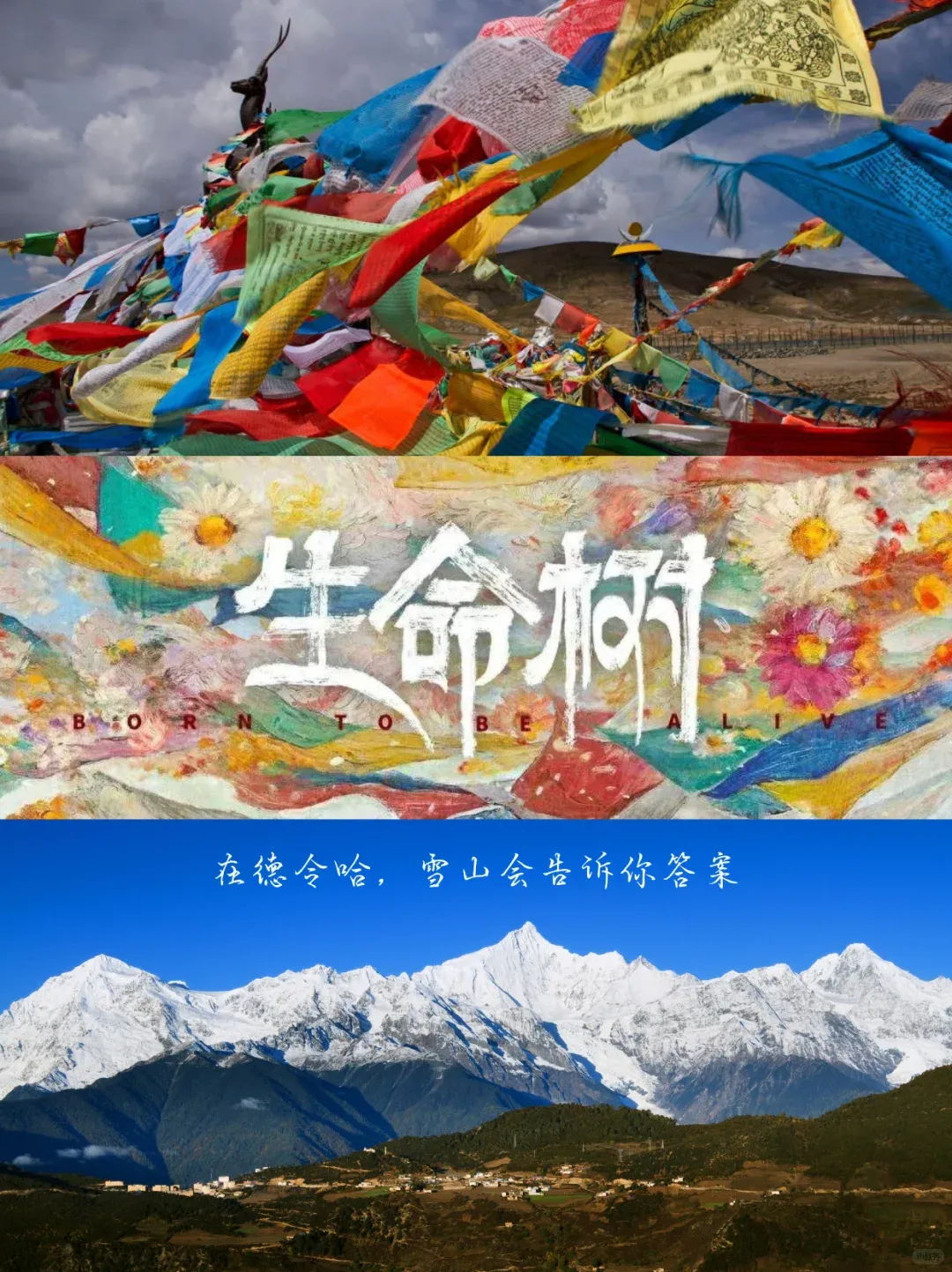 634cc1c0b9ee7dce369f932ae09b4284-sz_2629820-2