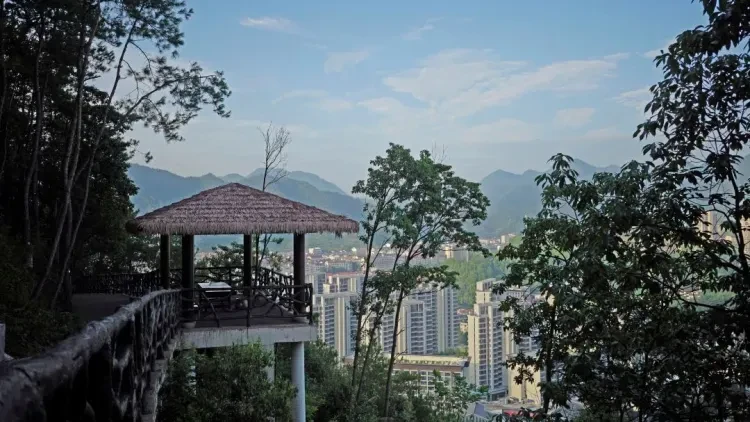 6363899afd400a8a73e2bcf6ecb2b814-sz_161623