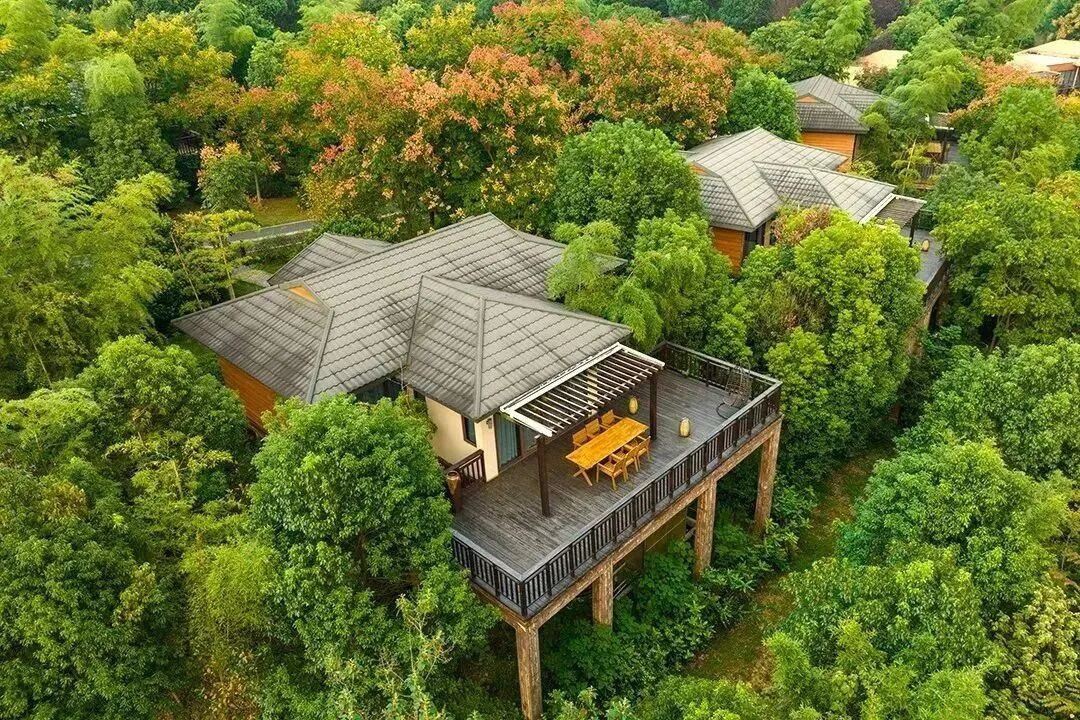 2026别墅住宿·宠物友好【长兴｜芳草地度假酒店】纯玩三日499元享2早4正，免费棋牌/KTV/泳池！享400亩天然林地16000m²大草坪！