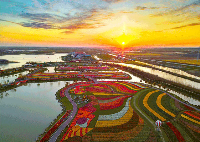 一年一度『最美千垛油菜花VS荷兰花海郁金香』2晚连住准四梦幻庄园酒店、2早4正餐全部升级特色餐！赏花纯玩跟团三日