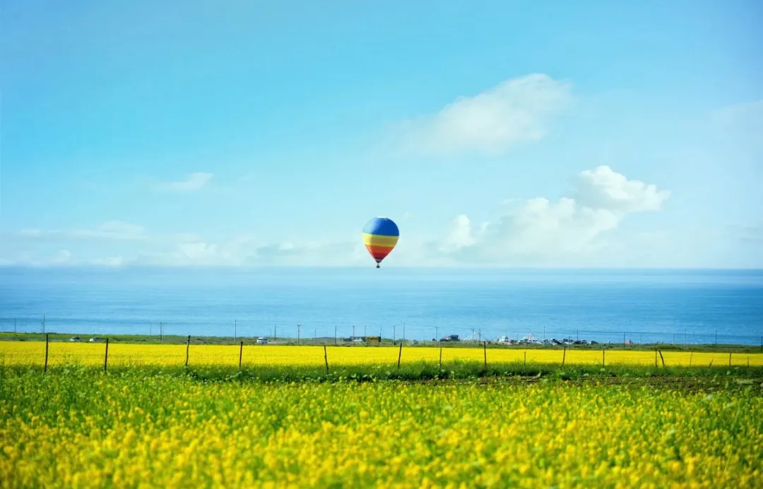 64032f26af4b0d24116dd95087545367-sz_231346