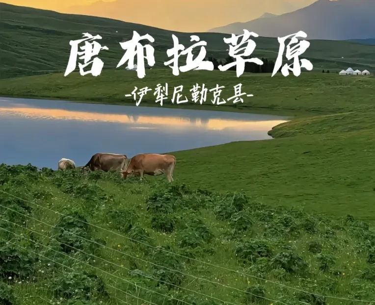 6452eff0989e570513f0b218bcd6fe0a-sz_970605