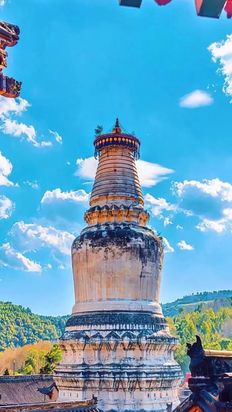 64598d77b1a3a0753f63985fdaae3405-sz_237428-2