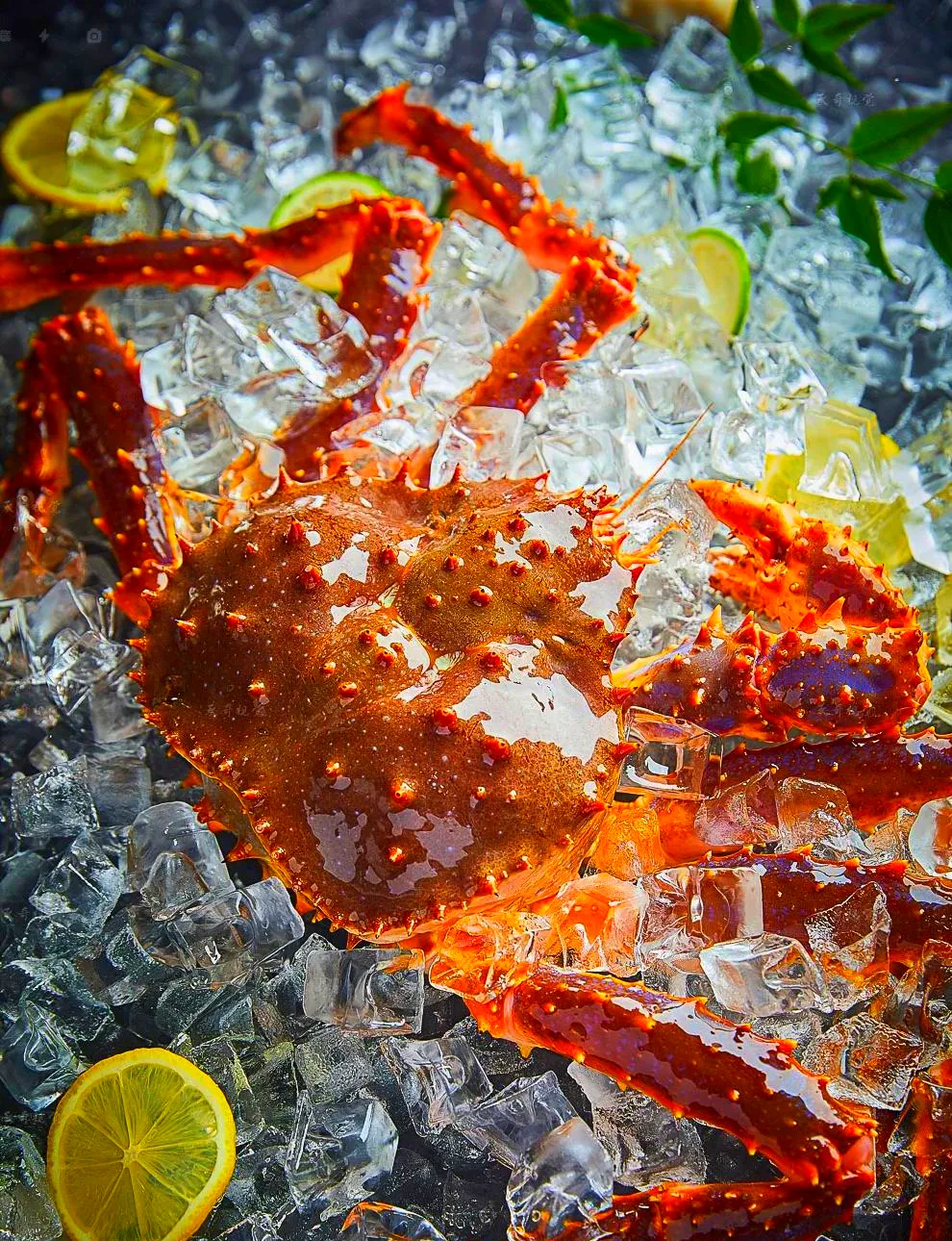 645f903c6c2291448d03289055d6d4af-sz_3681427