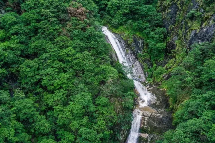 647c130e7626070f20661b2ecb5539f1-sz_241496