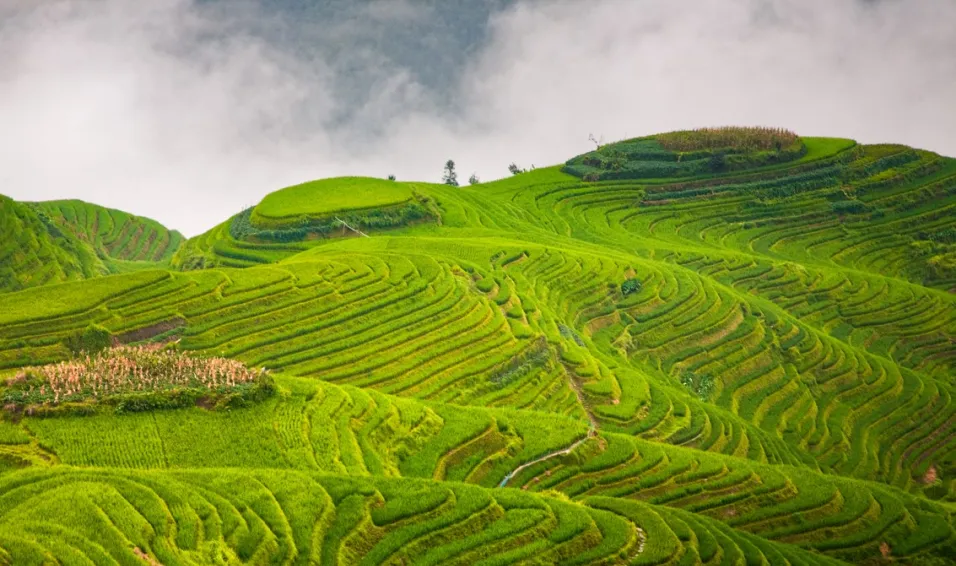 6493ce36bcc7488ab060cd59487798e1-sz_354538