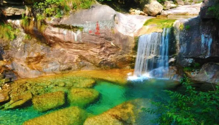 651a8866774df3372d52f361101c7f55-sz_992109