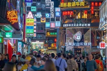 65447e3813eff6733b3de1b1ea87e9db-sz_310433