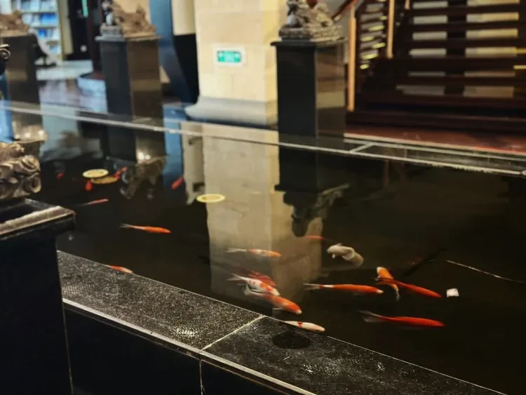 65a111ef38d00d9964d95a26d974746d-sz_99060