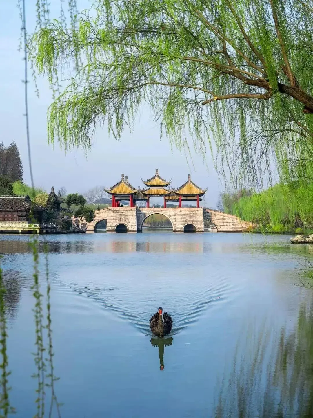 662a7ce5b9b99ae89331e9cb8e3cba8c-sz_307579