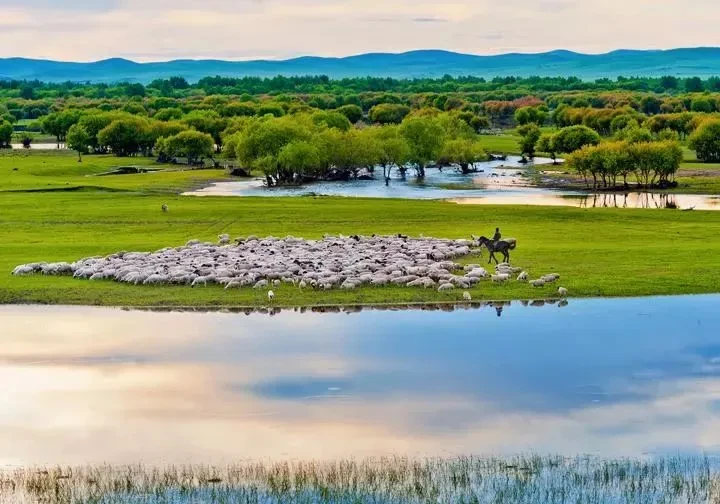 665fdb6c7b8249b46dba0f21abf44dbc-sz_74632