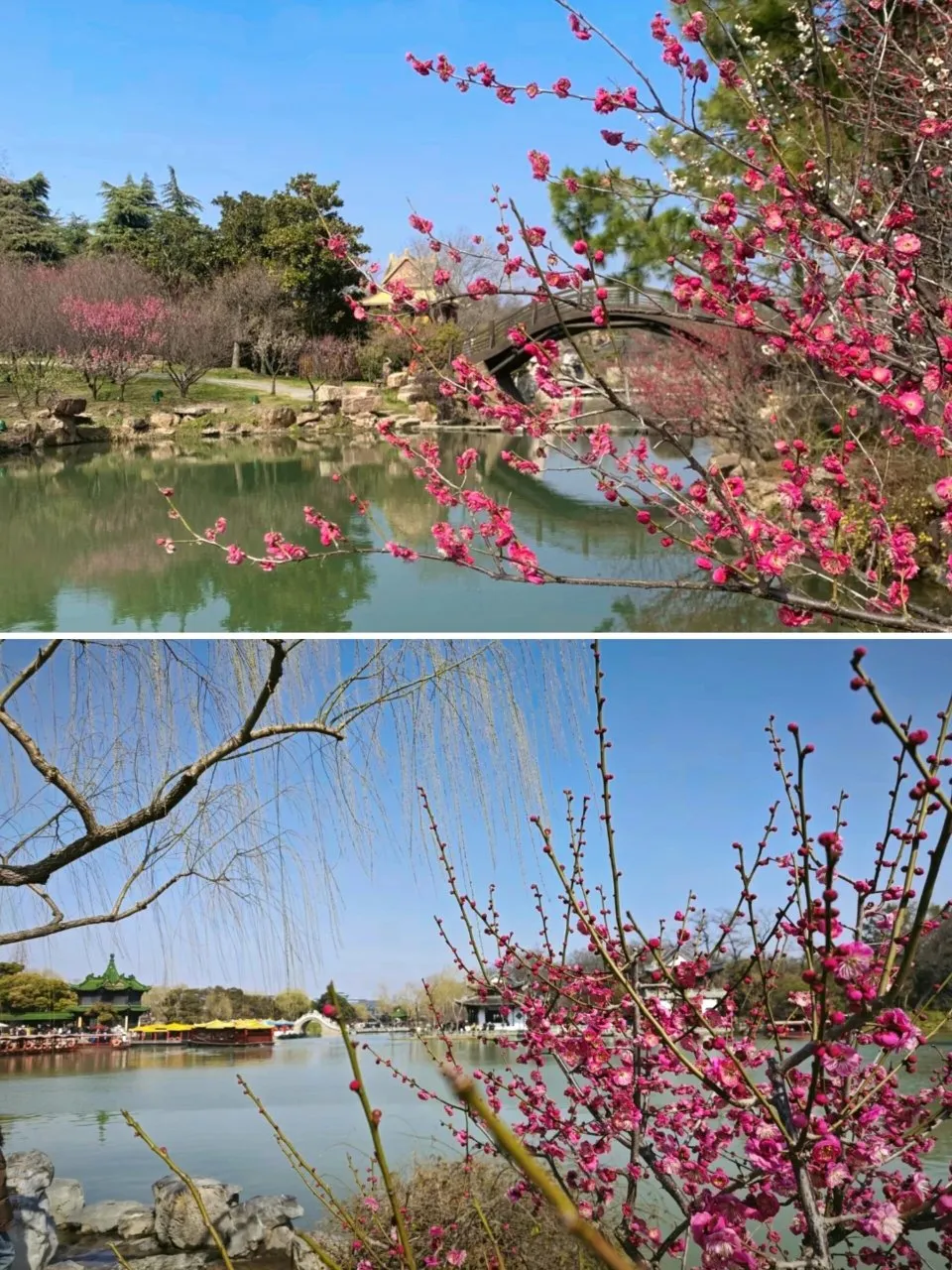 673a4721d51c86022e4abb852f7b97e5-sz_324968