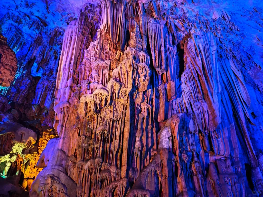 67768c57d329816c04777c5161135254-sz_738419