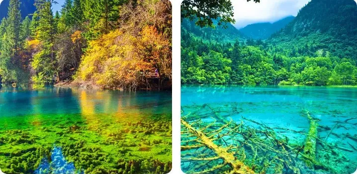 686de371aacbaec6553f41aa3da8ae69-sz_1647242