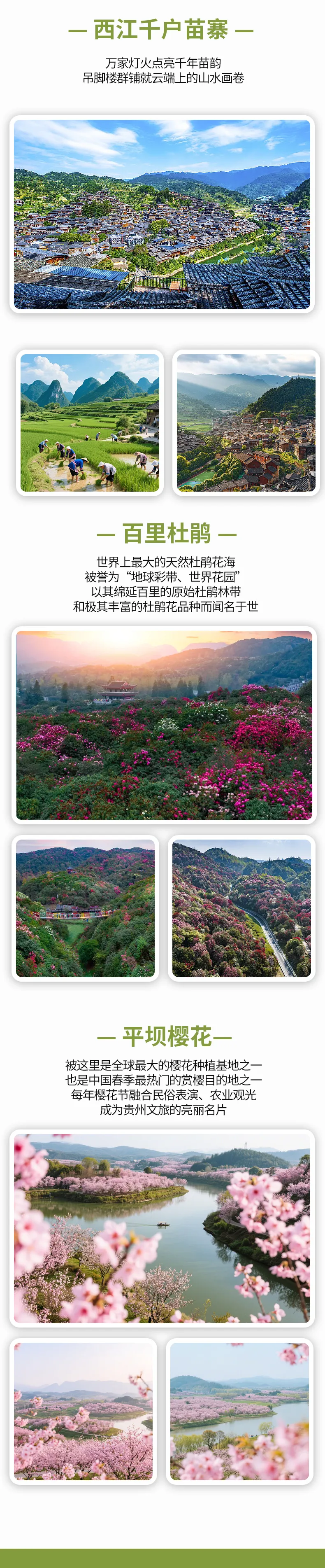 686e670ba822829ec9a30a57f9d0afec-sz_1305437-1