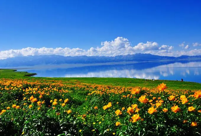 688594e54b4cde2b0d26d15b178bbc1f-sz_65300