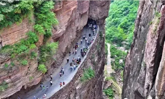 68be56661479eb30954d1d9f1842e6c1-sz_85363