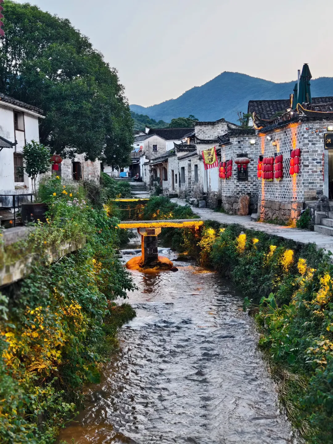 68cd43f67a63a87f95e2c2f40203470a-sz_2908565