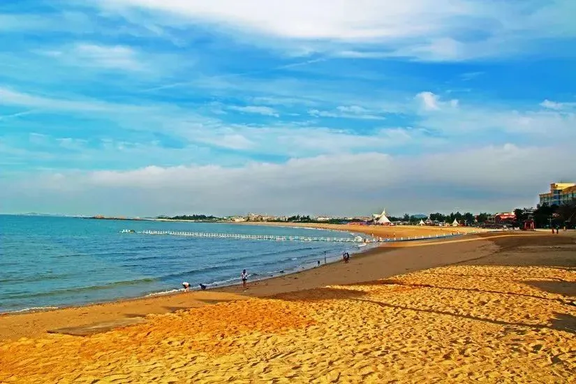 69011da1ef9c828128ab311092350939-sz_85679