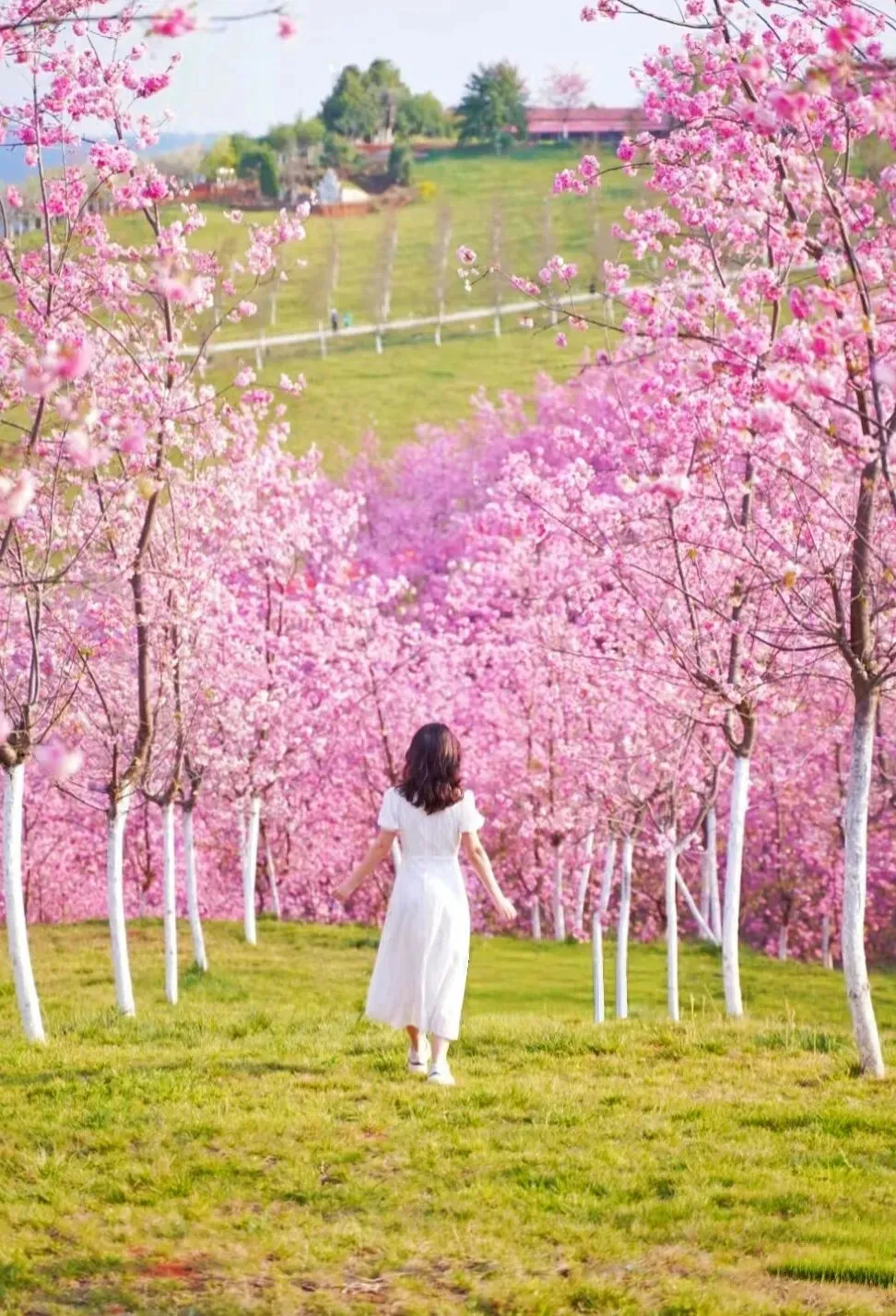 69604738bbc902ade23a72ce67520b92-sz_285486