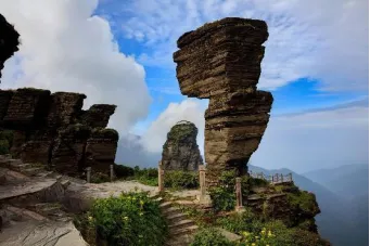 697829b0549e4481e637e8c22358a23e-sz_310433