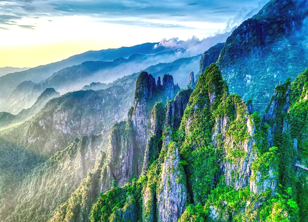 6a3dbb04f397291e872915e4af1a6744-sz_313151-1