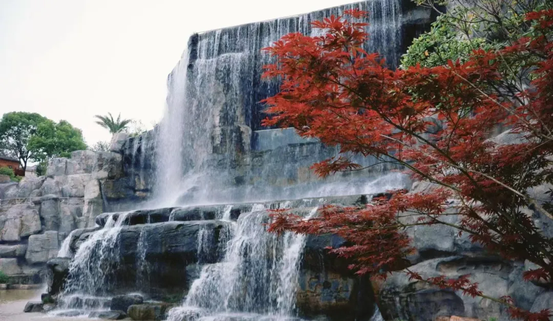 6a5285be220aacfc94c2536ffe21e86f-sz_1356783-2