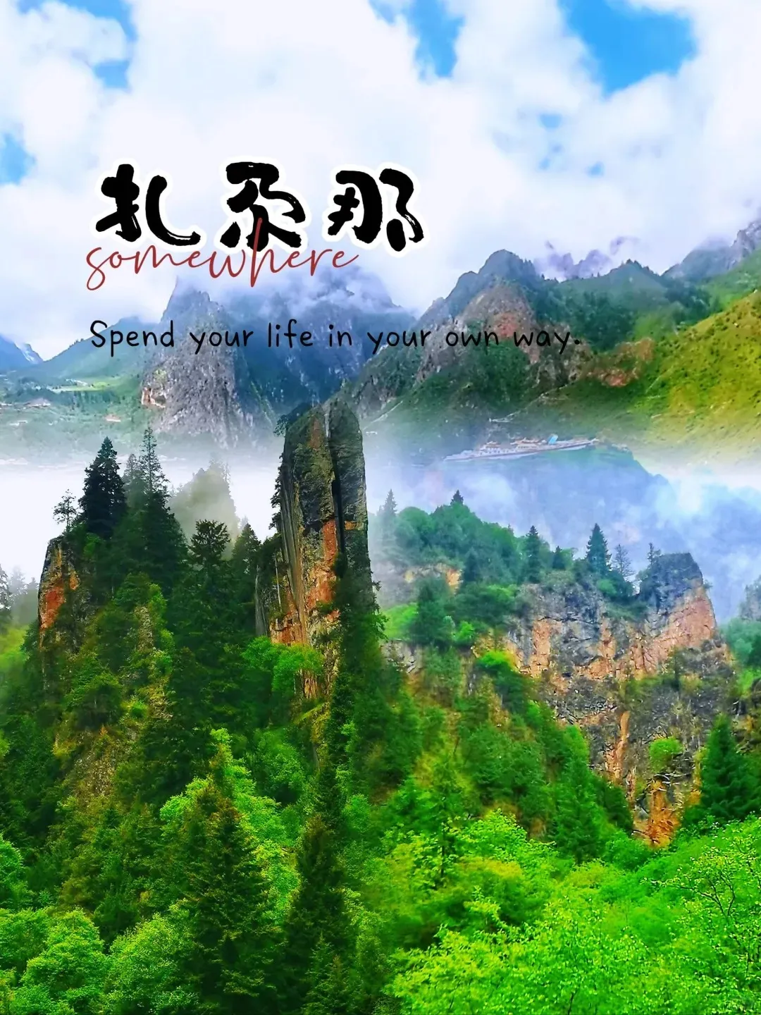 6a95e0f903fcf9b6fa3a43c69b84dd4e-sz_465562