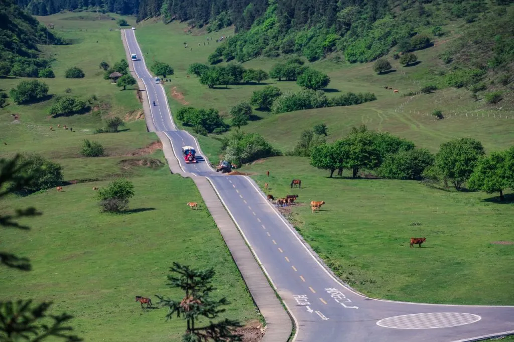 6af4022bb7384b791662826e56ad2d8c-sz_143517-1