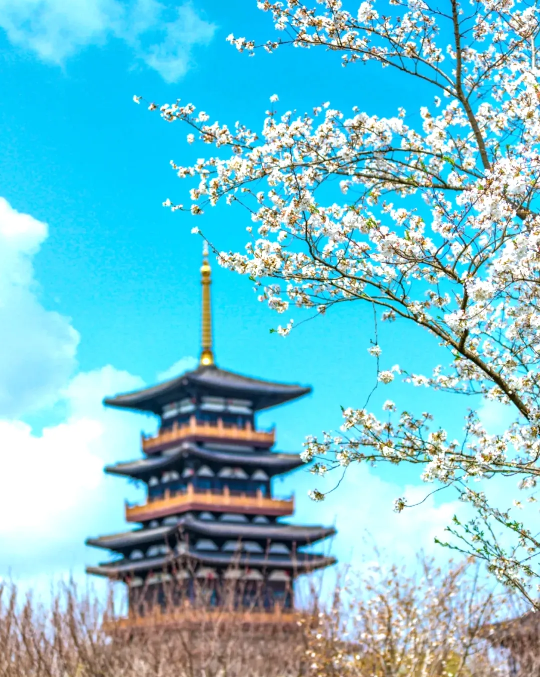 6b0193885600b7c2a0623718fbfe22de-sz_1317357