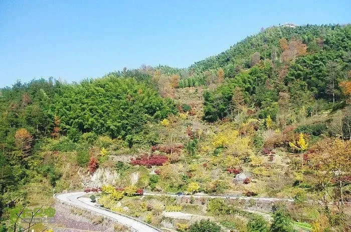 6b2fc13d88f6c98e2ff261eeeb2a19bf-sz_106969