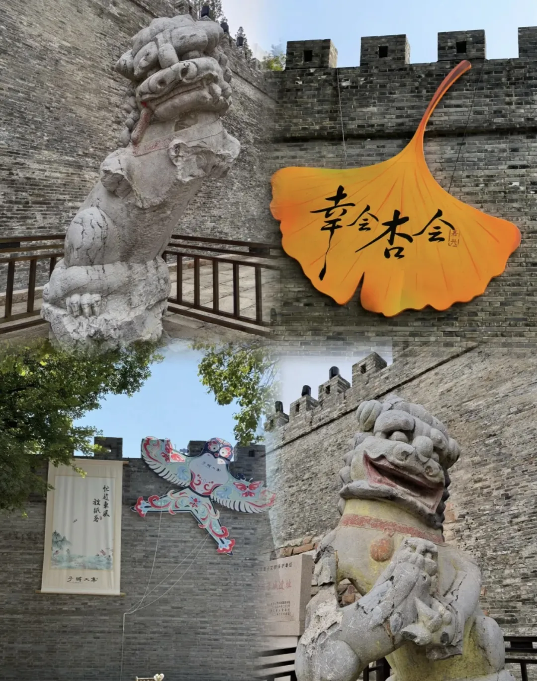 6b3ed4e0d0a784fd6d52aaee132b07ef-sz_1361621