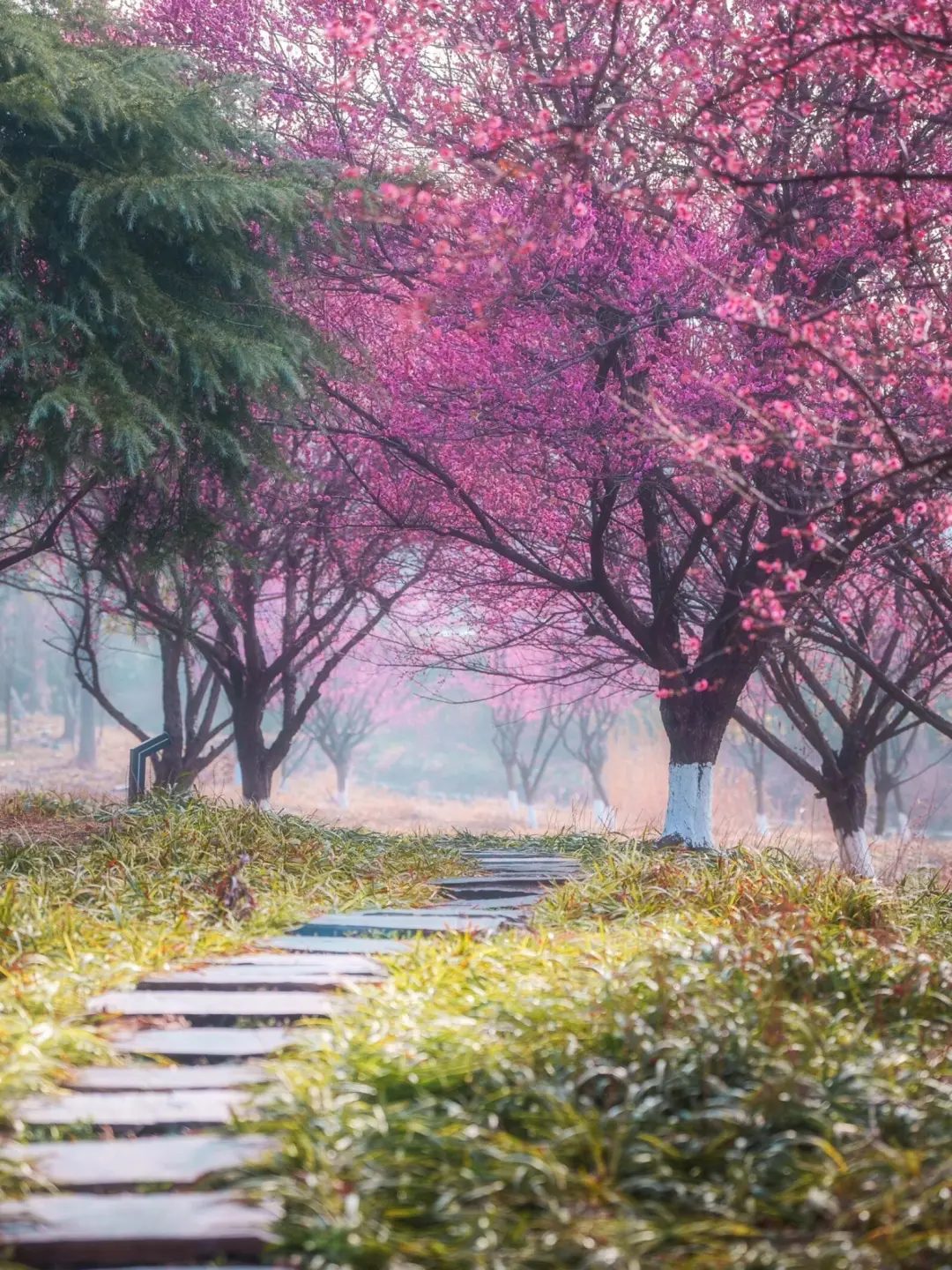 6b76d513596f78e1f6f28df10b188cf6-sz_634460-1