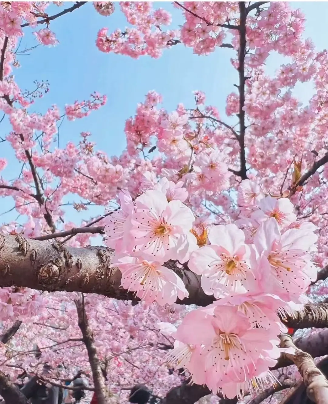 6ba185f199dd82d5cab89e0b4aaf65c9-sz_260133