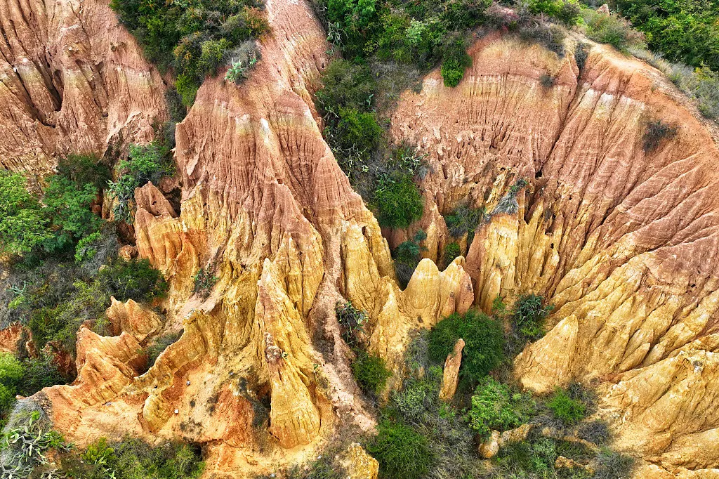 6bbd4f656930486e79c9db42249dccc0-sz_1297069