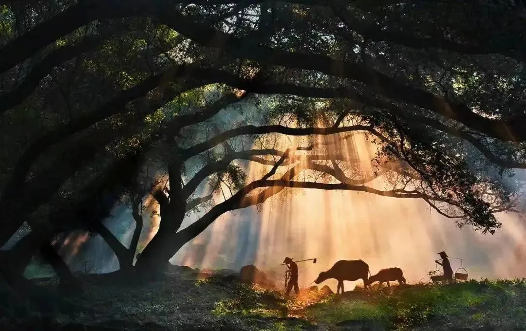 6bcf5b939ab88f009d1eee726e628e06-sz_132117