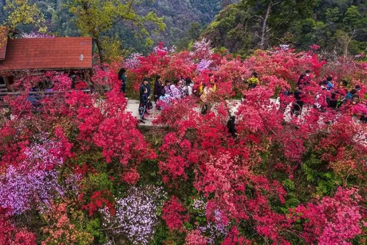 6c2e86d7af444f2c5613f051c7232171-sz_289391