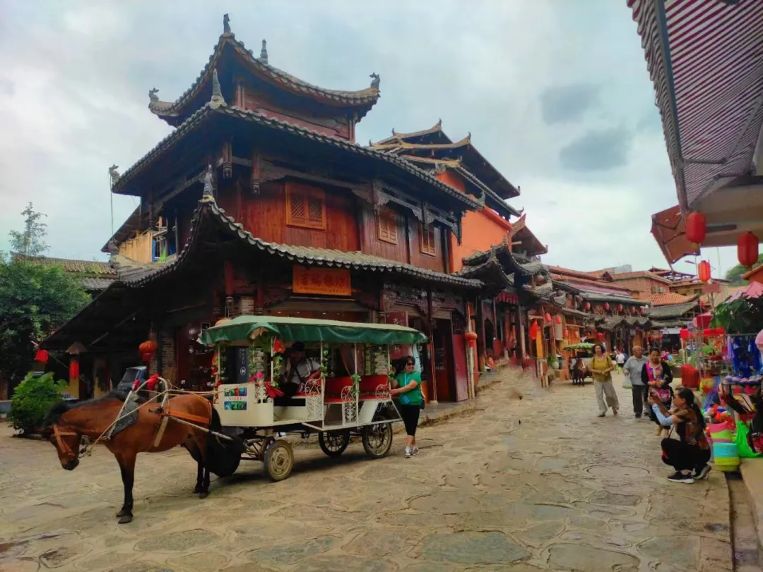 6c3d5e1344cc869bf3e6d3ceda5c7720-sz_977946