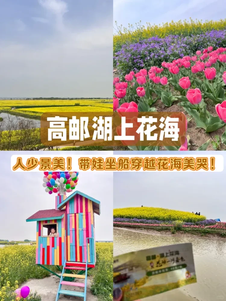 6c47e7779dfa2aef039c11ea2bc21d52-sz_2703524