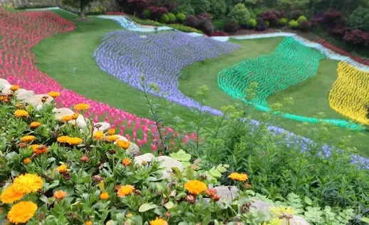 6c7a7164e75b58a0966ff0c6eb0a4a92-sz_459636